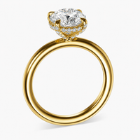 GABRIELLA - 2CT E VVS2 Oval Brilliant Engagement Ring